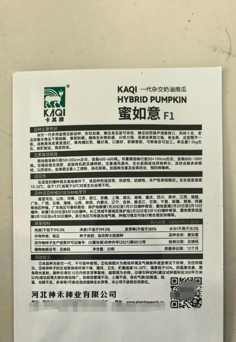 奶油南瓜种子甜糯蜜本南瓜早熟高产甜粉小南瓜基地大田种