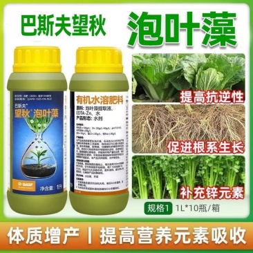 巴斯夫望秋泡叶藻促根抗逆益吸收改善作物生长障碍恢复健康态