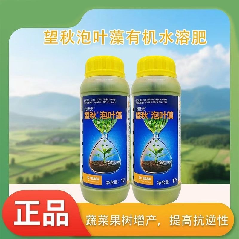 巴斯夫望秋泡叶藻促根抗逆益吸收改善作物生长障碍恢复健康态
