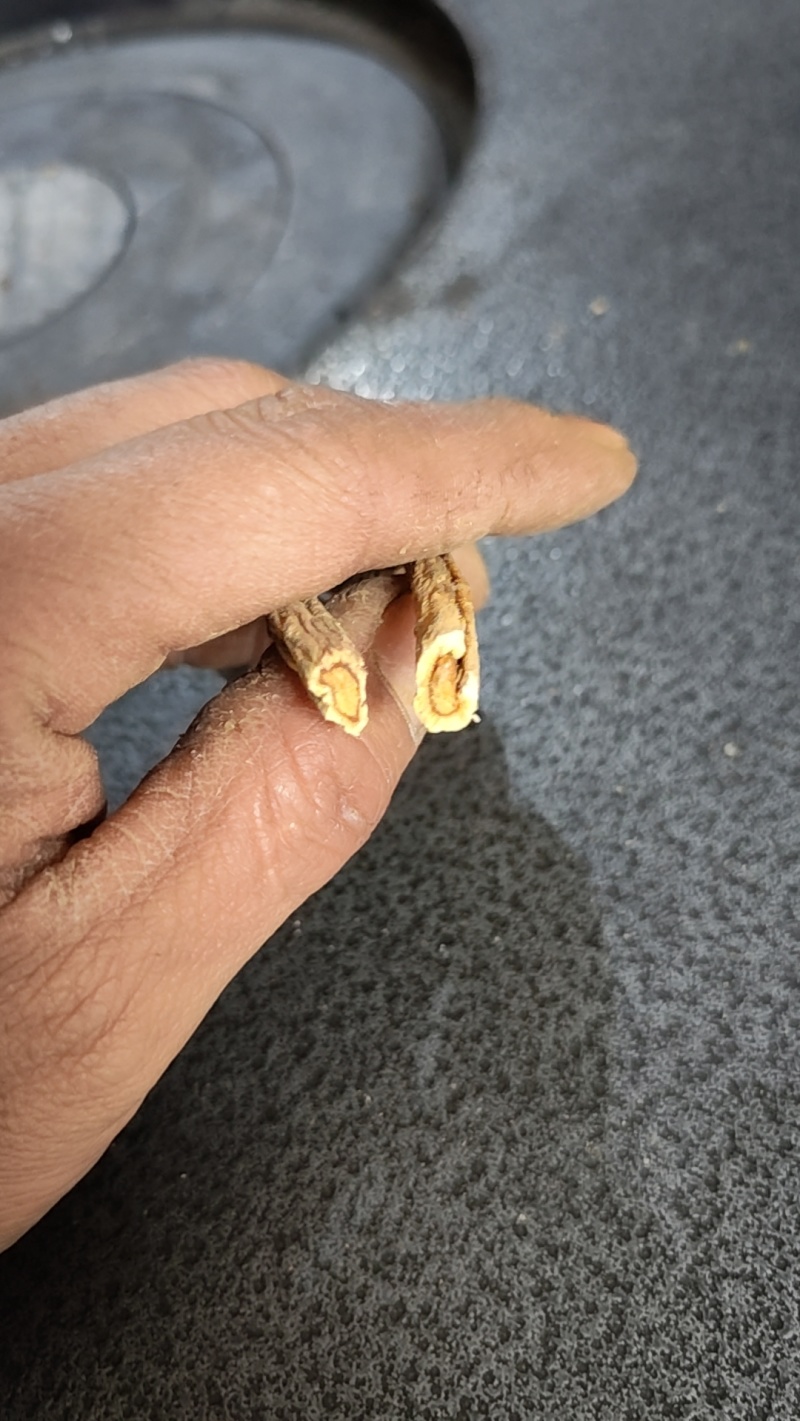 白花前胡干货和鲜货通货