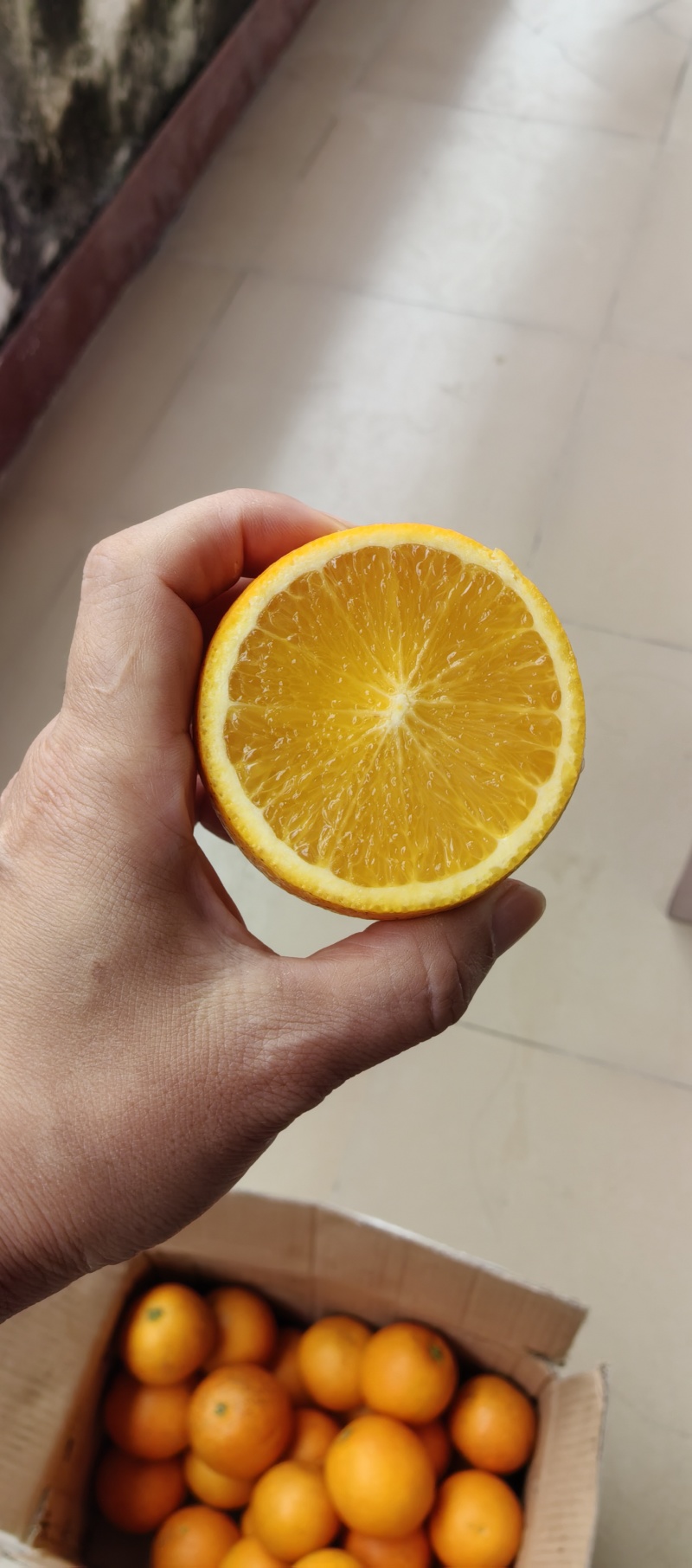 正宗湖南芷江冰糖橙