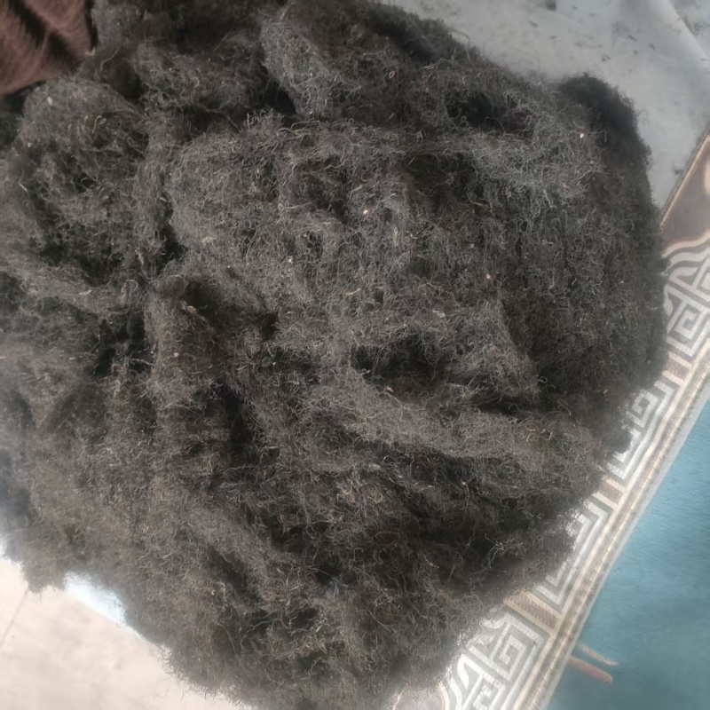 精品头发菜