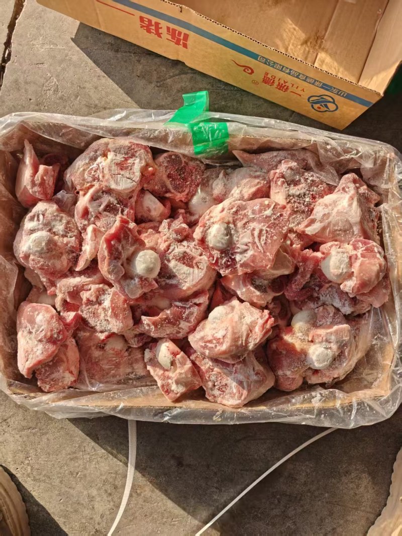 猪圆骨