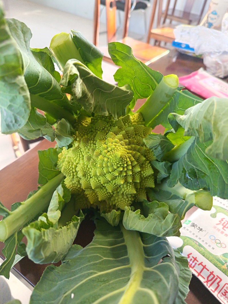 宝塔花椰菜