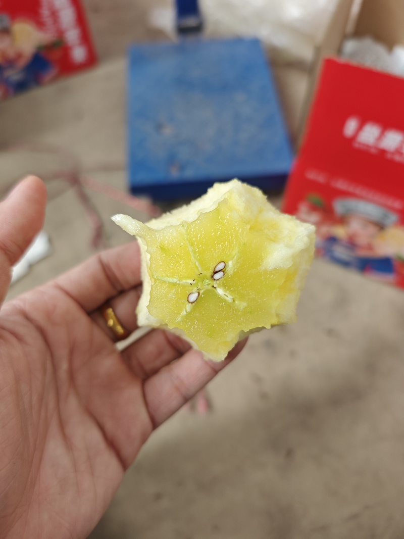 大凉山盐源丑苹果绿盟机单果150g+(75mm+)精品果
