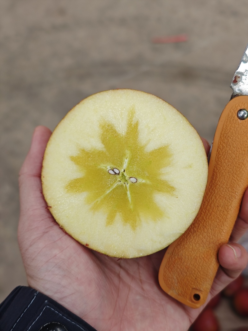 大凉山盐源丑苹果绿盟机单果150g+(75mm+)精品果