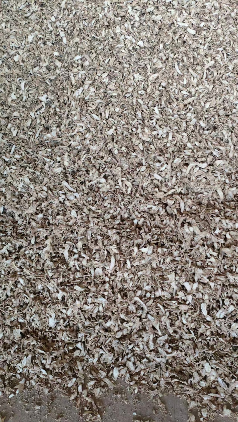 云南干姜片新鲜上市价格美丽对接全国量大从优欢迎询价