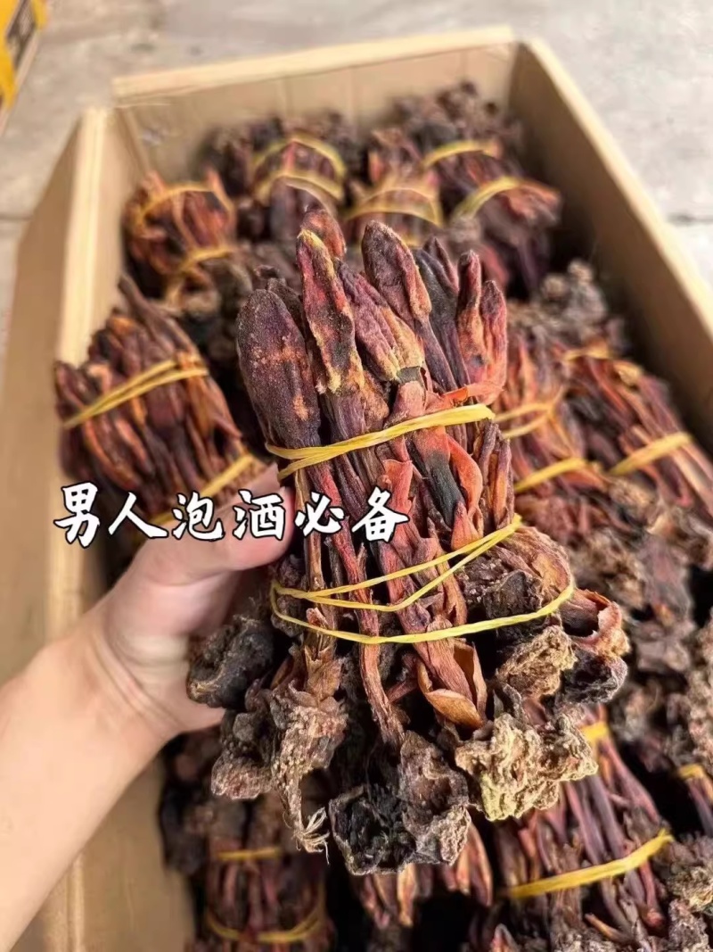 野生回春草，不老草，起阳草，男士滋补泡酒料中药材