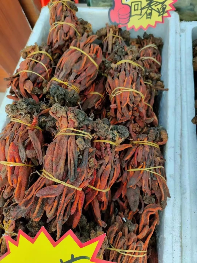 野生回春草，不老草，起阳草，男士滋补泡酒料中药材