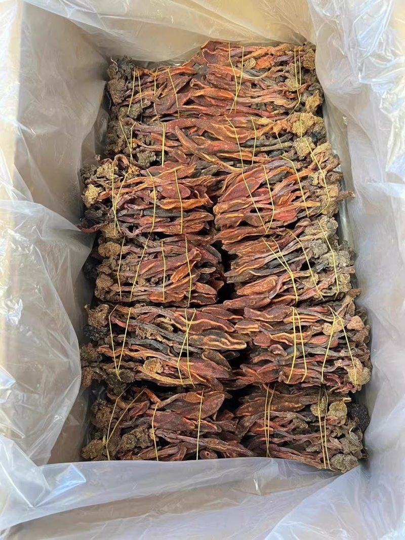 野生回春草，不老草，起阳草，男士滋补泡酒料中药材