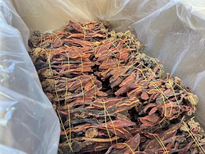 野生回春草，不老草，起阳草，男士滋补泡酒料中药材