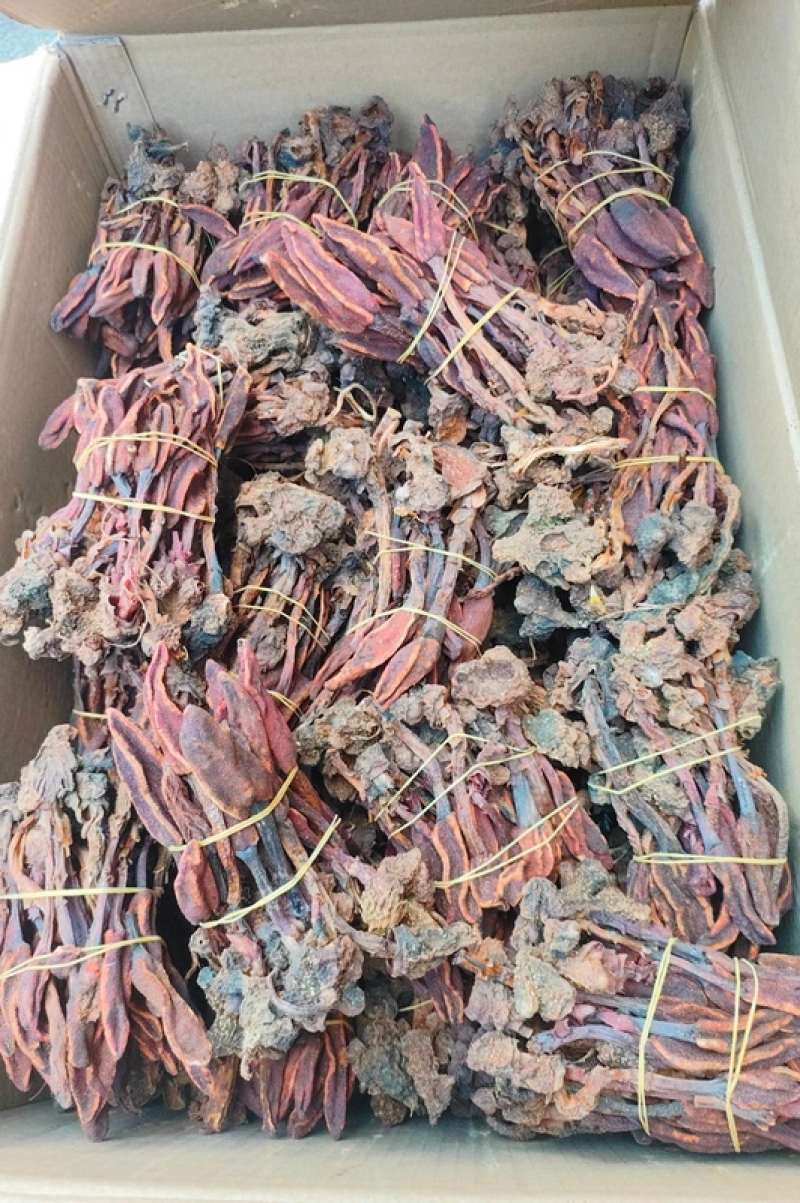 野生回春草，不老草，起阳草，男士滋补泡酒料中药材
