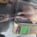 浙江肉类食品白条鸡/诚信经营/量大价优可谈/欢迎下单
