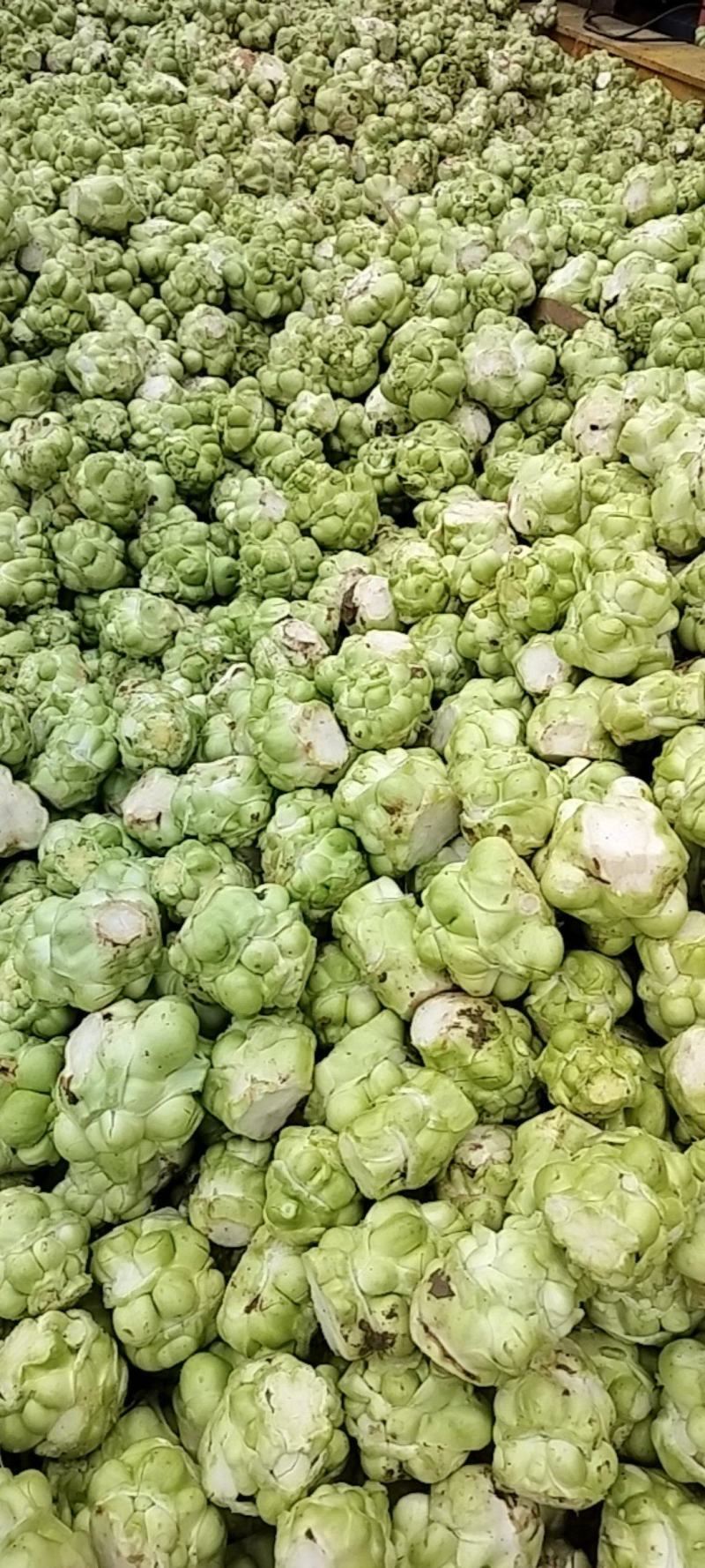 鲜榨菜