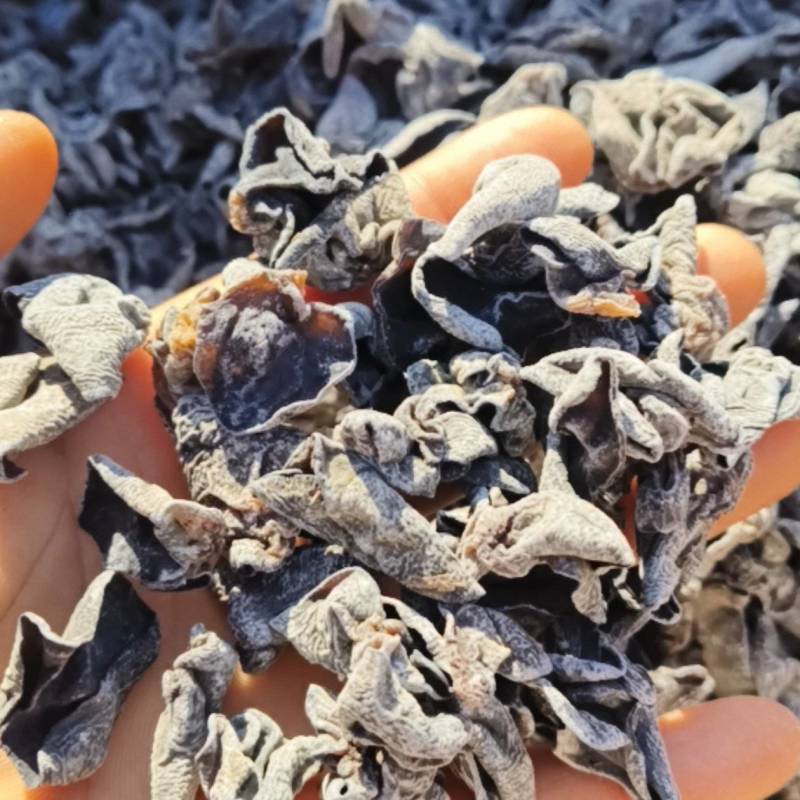 东北黑木耳精品
