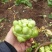 四川榨菜，量大从优，大量供应。