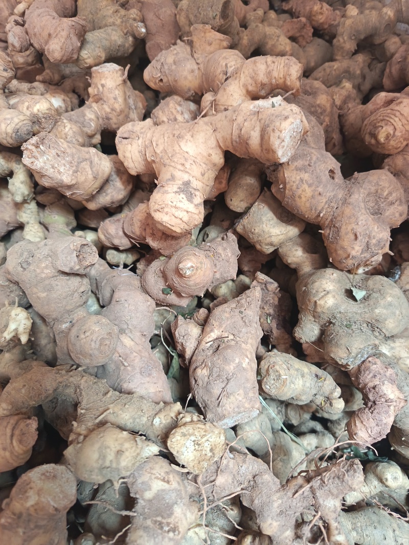 黄精鲜货，电话***********