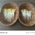 神泉谷山泉水黄豆芽