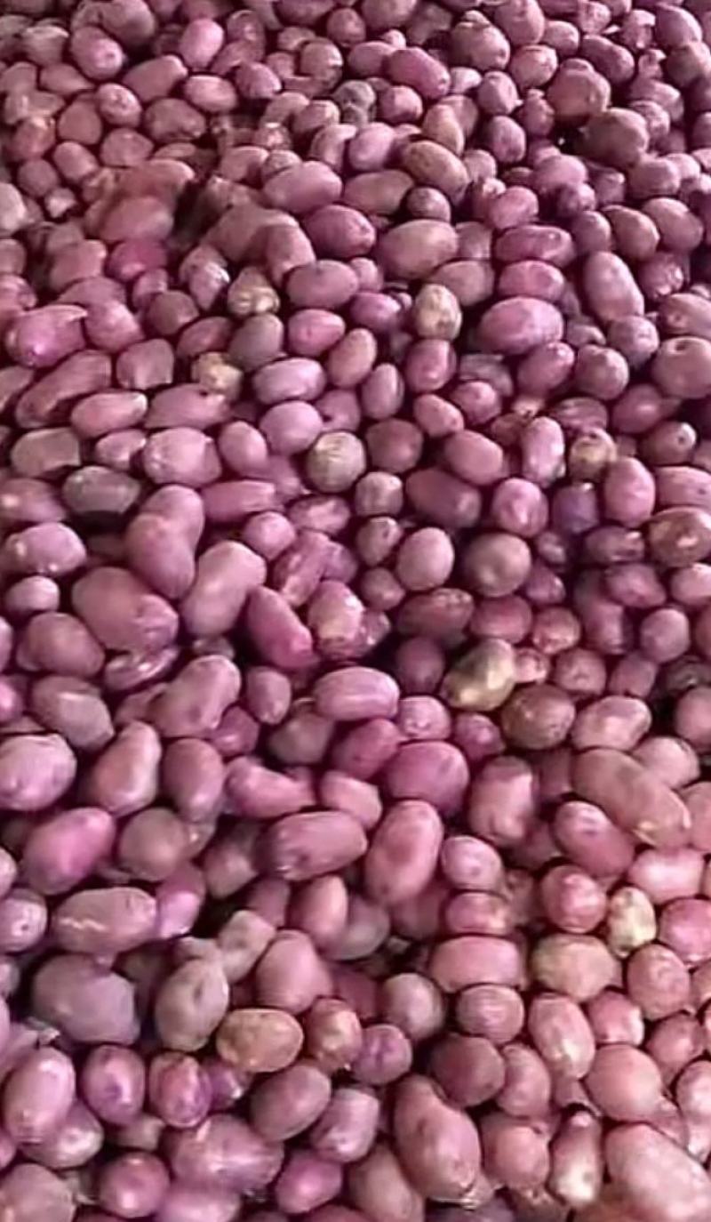 产地直发。视频看货。量大优惠。