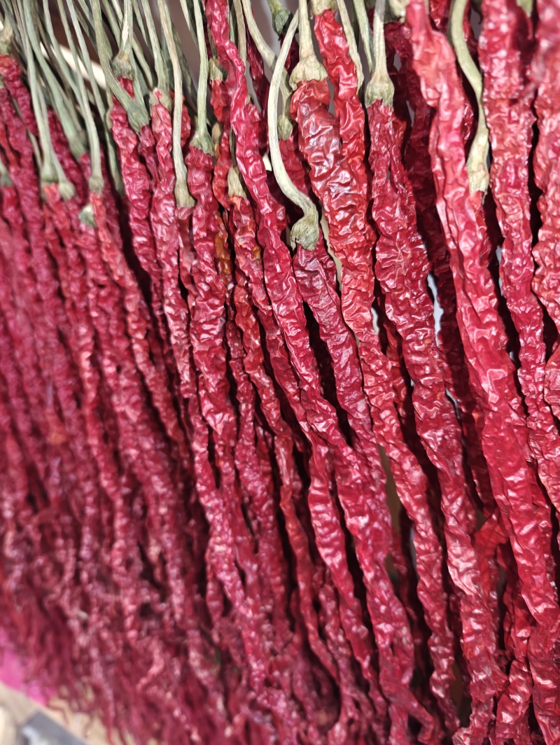 皱椒辣椒干