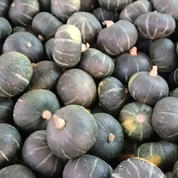 板栗南瓜