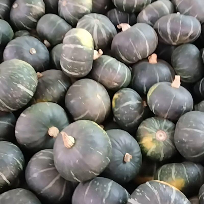 板栗南瓜