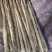 通货价格2块一斤精品货5块一斤