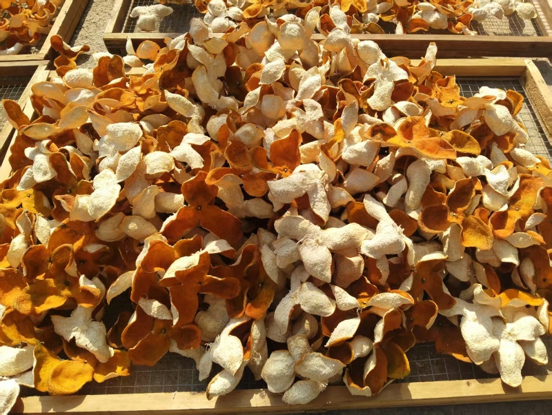 陈皮