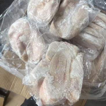 20个左右一级大肚