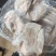 20个左右一级大肚