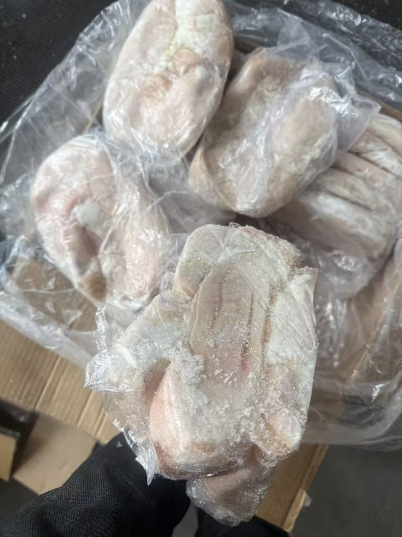 20个左右一级大肚