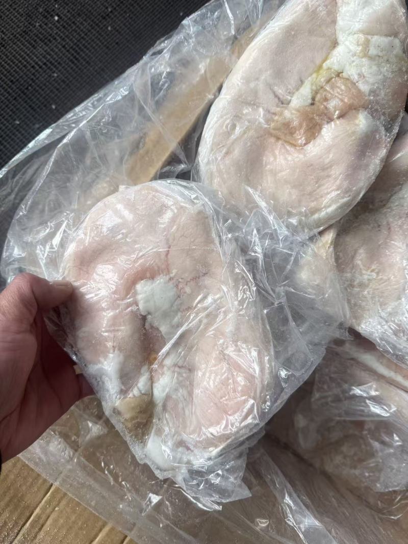 20个左右一级大肚