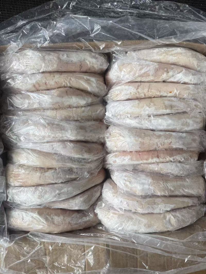 20个左右一级大肚