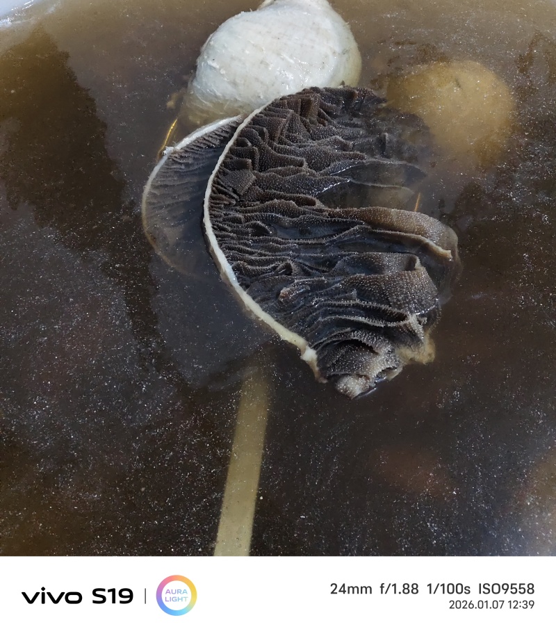 精品黑毛肚厚实爽脆***产地直发，量大从优