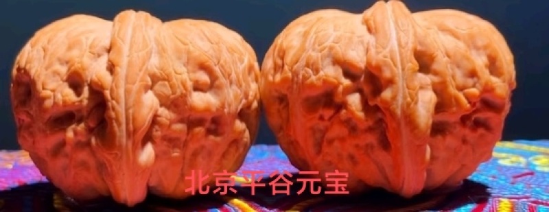 保定涞水文玩核桃批发、零售；改良，嫁接文玩核项目承接。