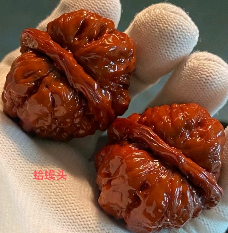 保定涞水文玩核桃批发、零售；改良，嫁接文玩核项目承接。