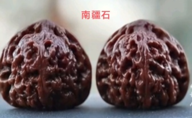保定涞水文玩核桃批发、零售；改良，嫁接文玩核项目承接。
