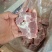 满肉猪颈骨