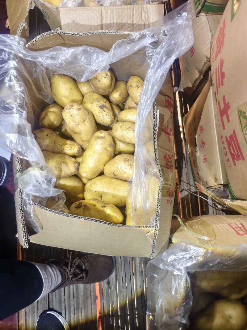 卖冷库土豆