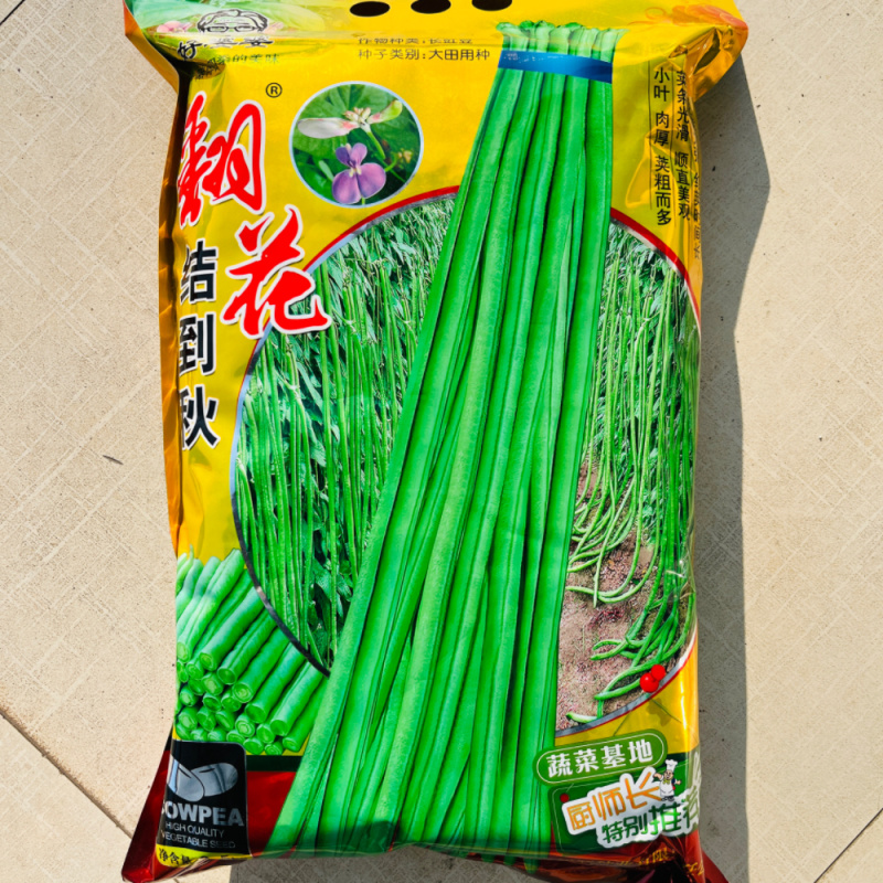 翻花结到秋长豇豆种籽翠绿色肉厚高产春秋播种豆角种籽大田种