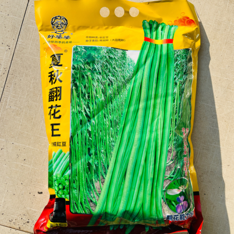 翻花结到秋长豇豆种籽翠绿色肉厚高产春秋播种豆角种籽大田种