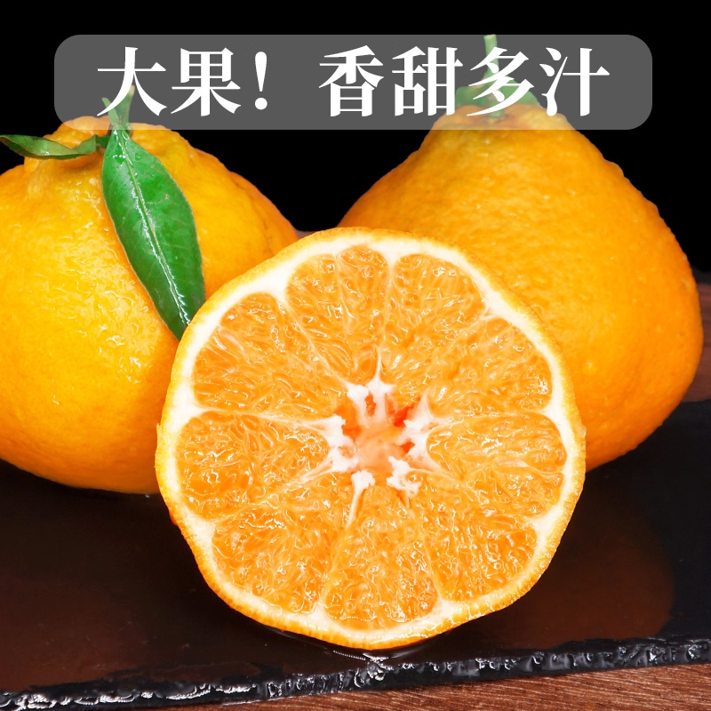 四川春见耙耙柑实力代发批发供直播团购电商