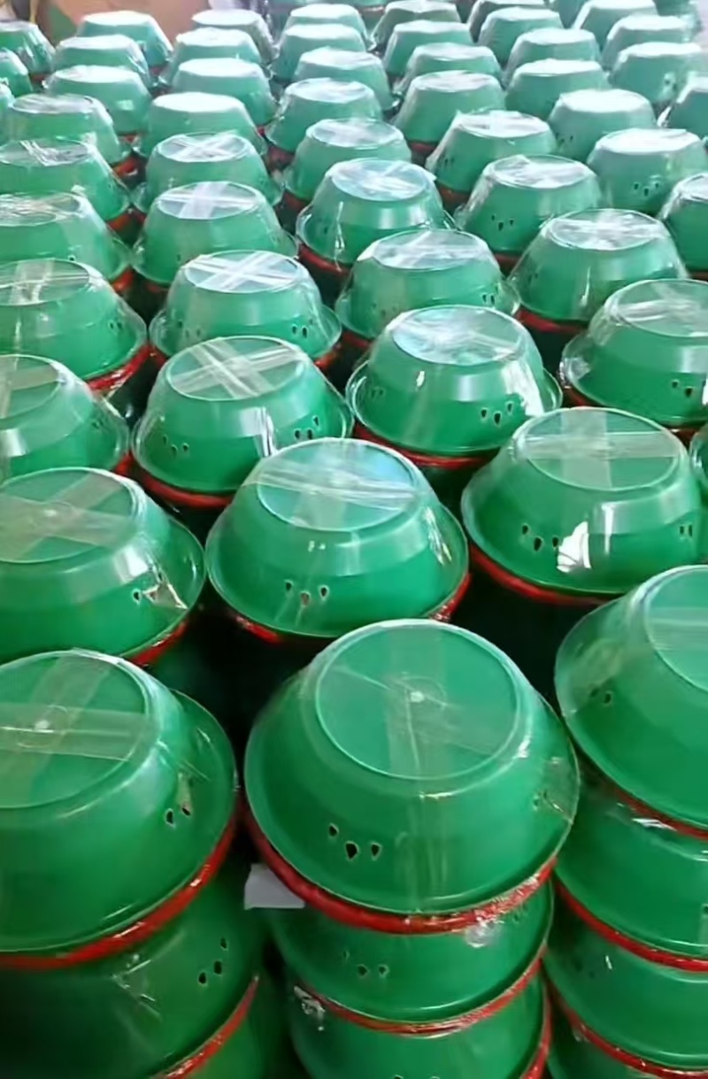 江苏宁玉草莓新鲜上市价格美丽对接全国量大从优欢迎询价热卖
