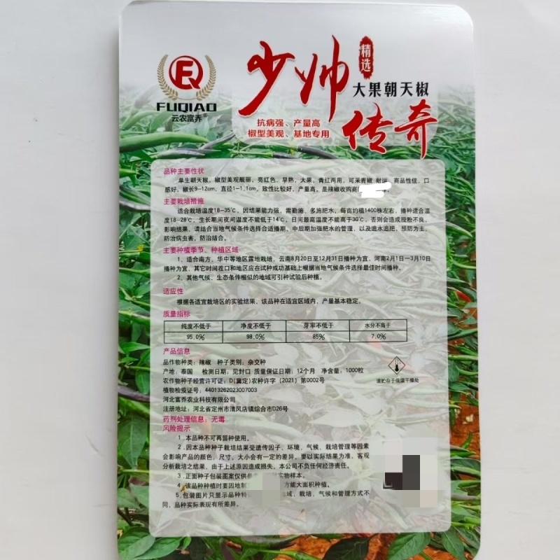 富乔大果美人椒种子原装新种香辣大田基地种植高产抗病耐运输