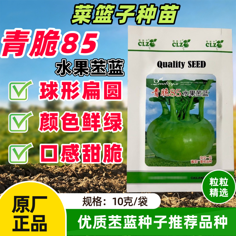 水果培兰种子高产抗病扁圆形青皮无纤维清甜大果培兰种籽