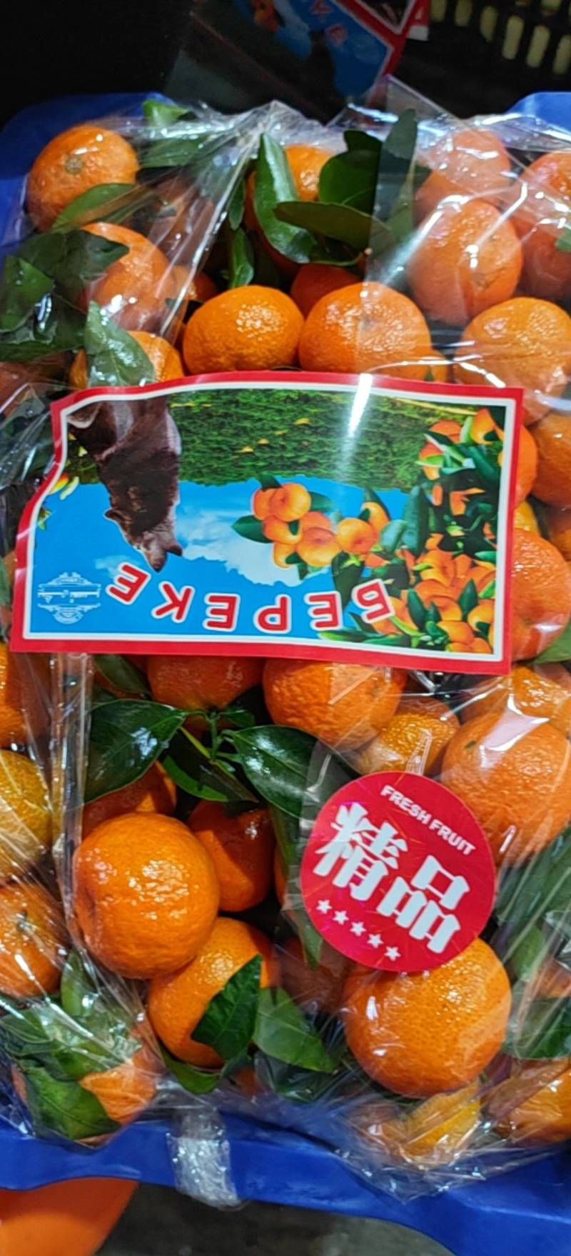 沙糖桔大量上市中皮薄肉厚化渣果面干净量大从优产地一手货源