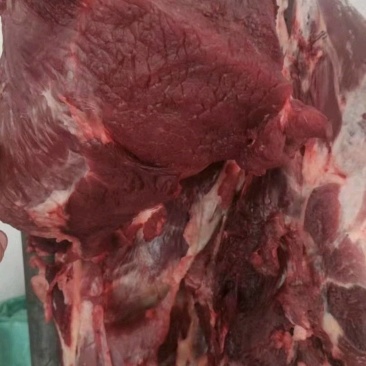牛肉