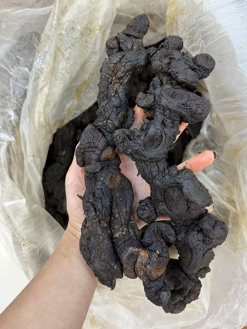 黄精制黄精九蒸九晒黄精大量产新支持一件代发