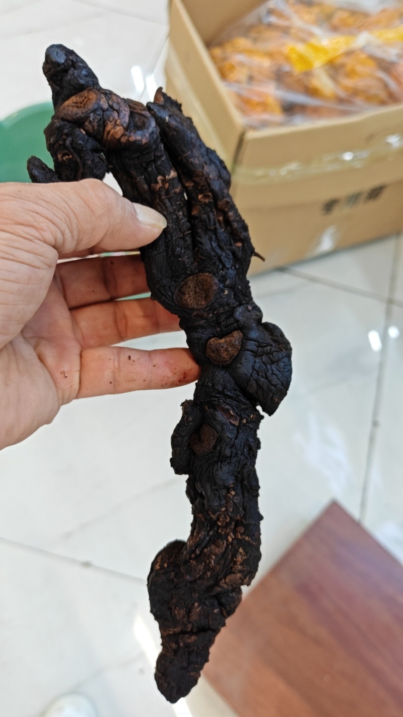 黄精制黄精九蒸九晒黄精大量产新支持一件代发
