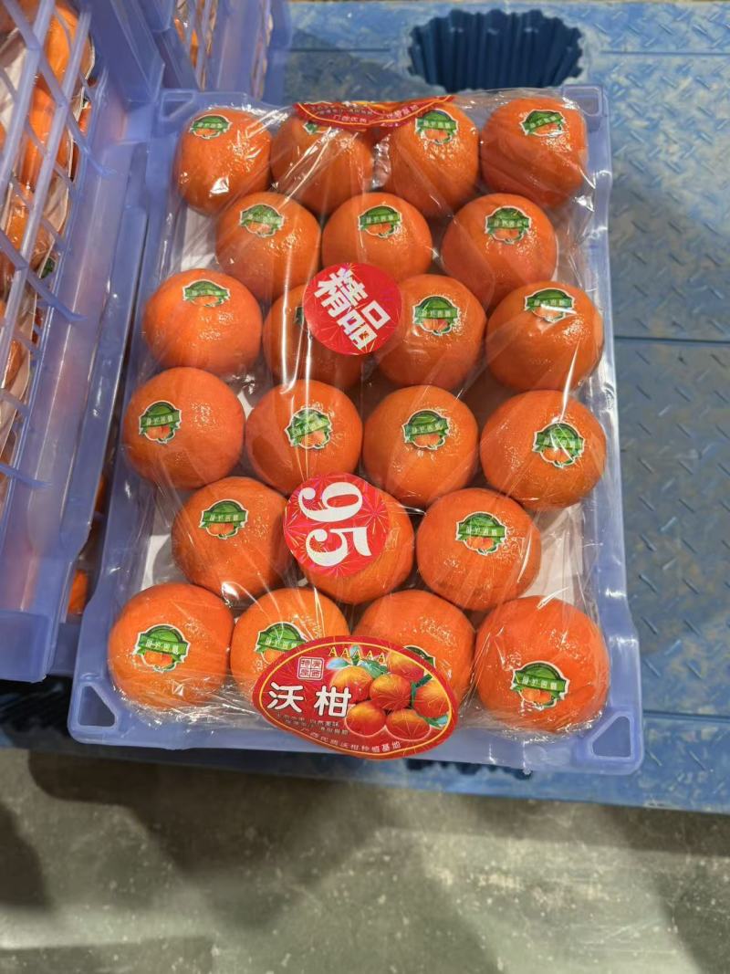 沃柑广西武鸣沃柑口感好价格实惠品质保障运输便利欢迎电联